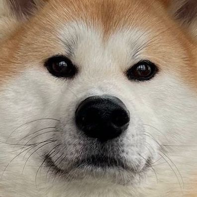 D3FVXL