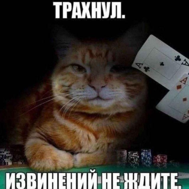mudachyoZ avatar