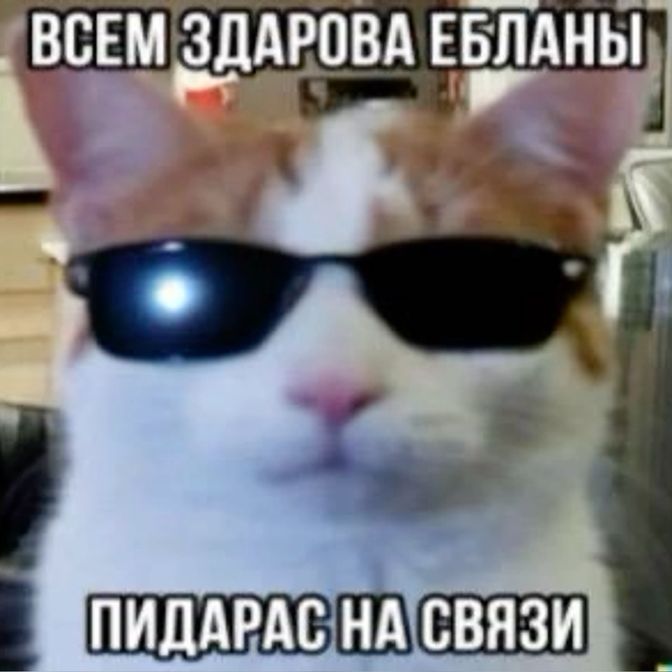 DkDann
