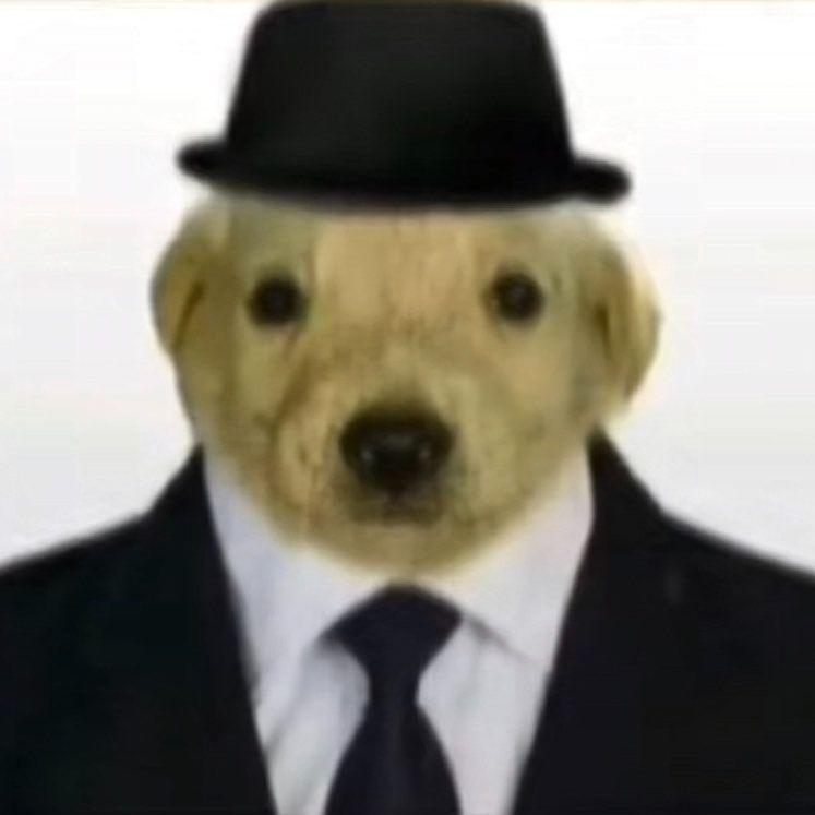 vfreed0m avatar