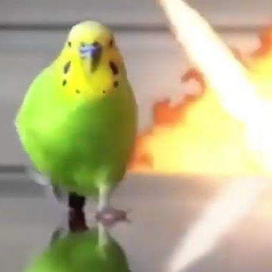 Blai4R