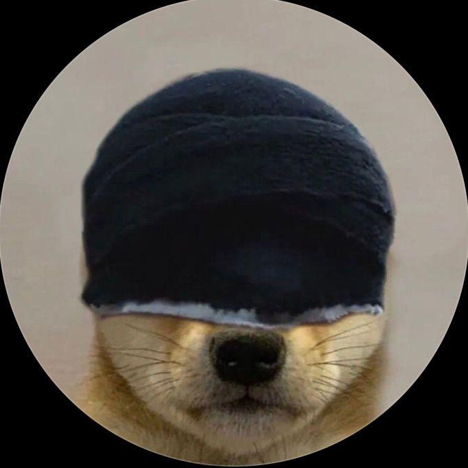 nibzeri avatar