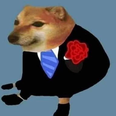 VAGINOLOGO