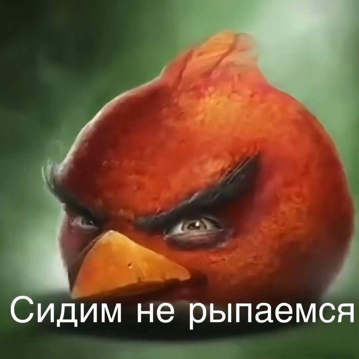 otpubvam8021