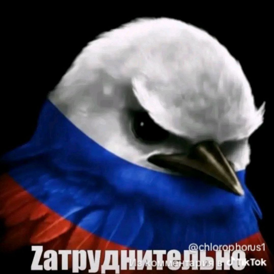 Dres1g