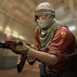 team_Feellipera