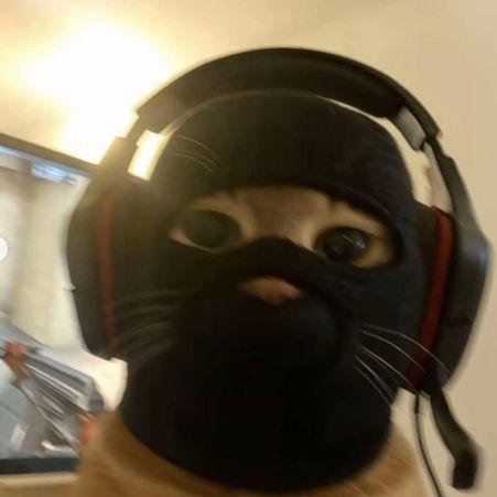 berkMd avatar
