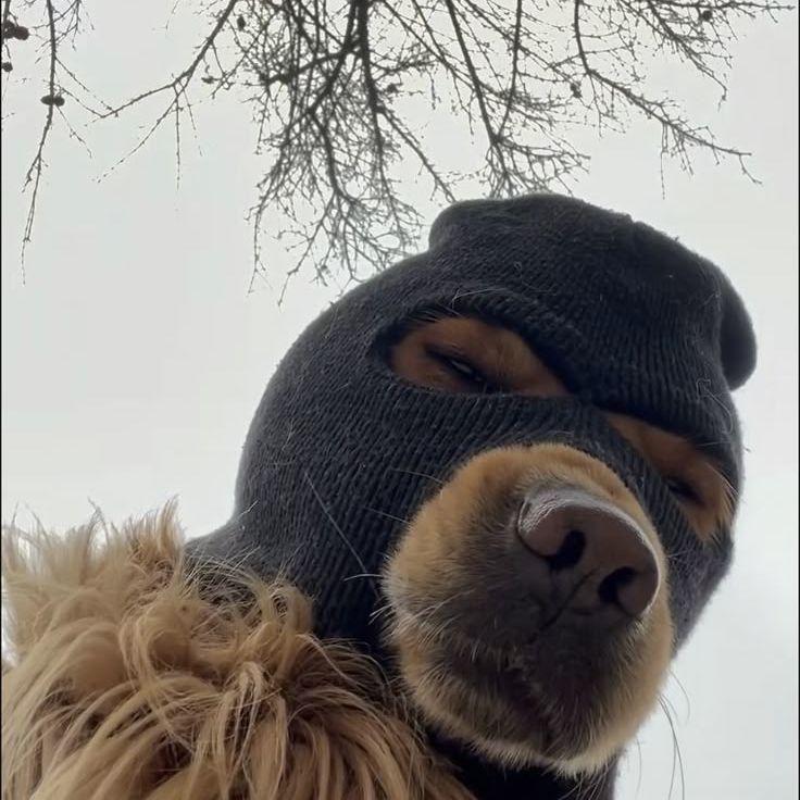 kz-
