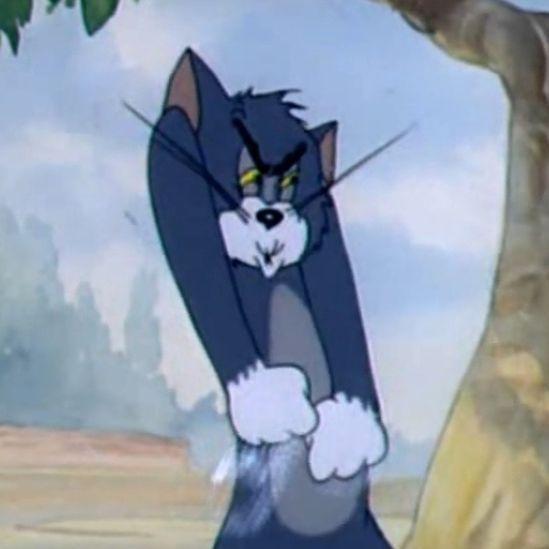 Dasberno avatar