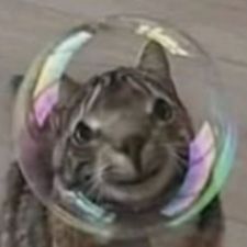 PePepper FACEIT avatar