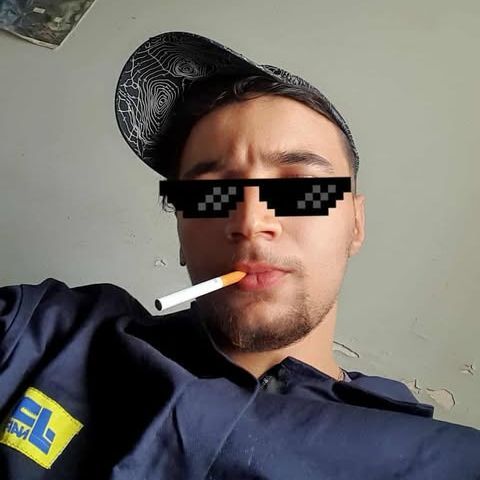 kdw_14Dz