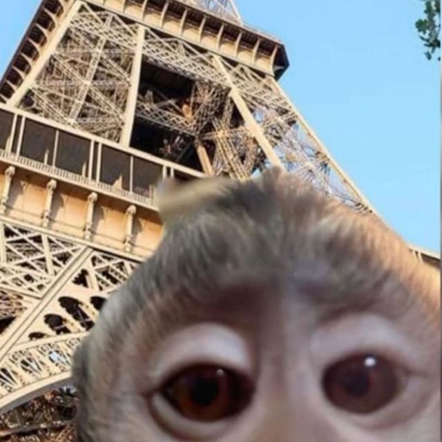 Doraeueu
