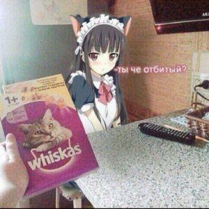 WhiskaSSSR avatar