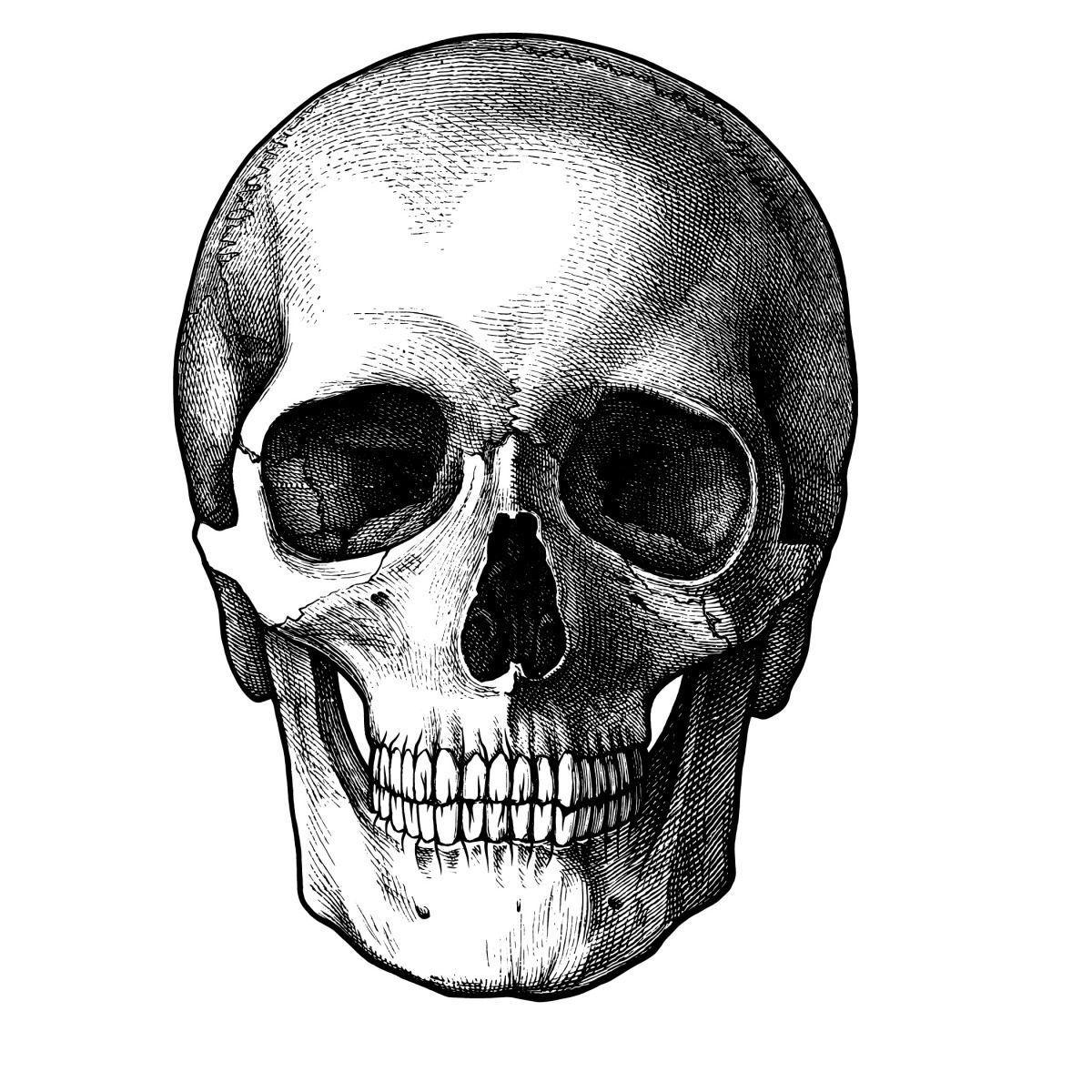 enilex avatar