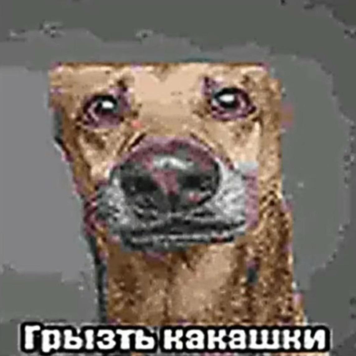 Akamirami avatar