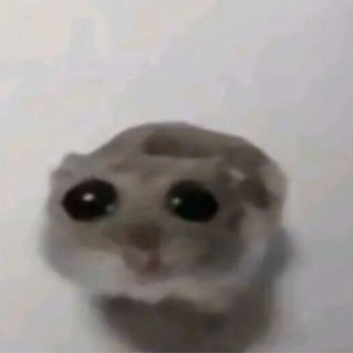 klikabait avatar