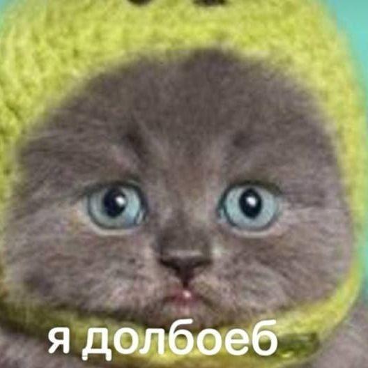 _RJF_ avatar