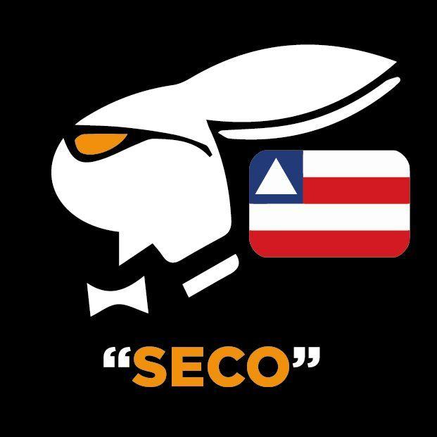 Player -SECO- avatar