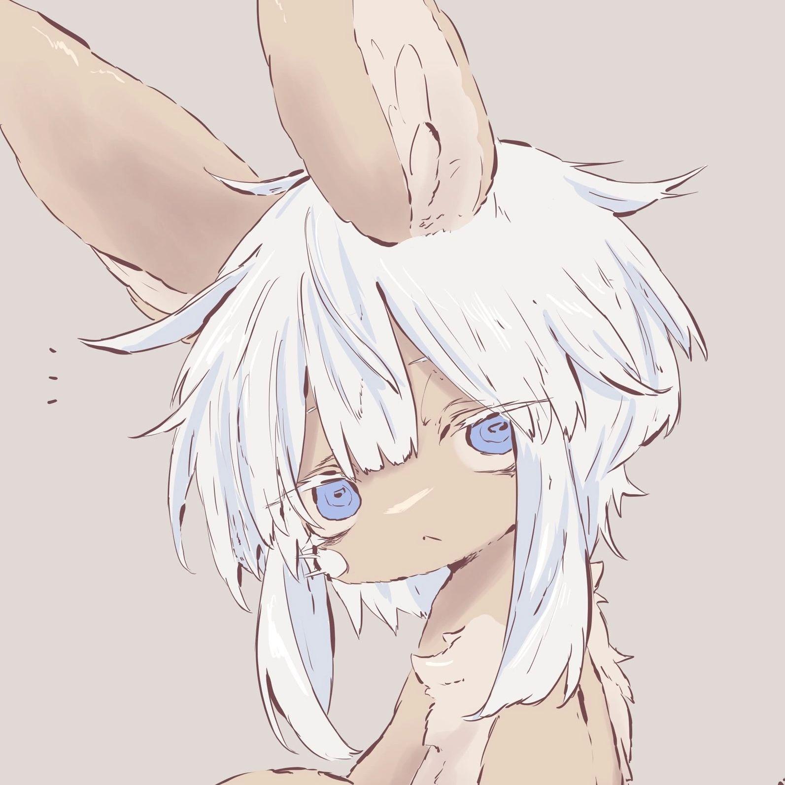 rapiki