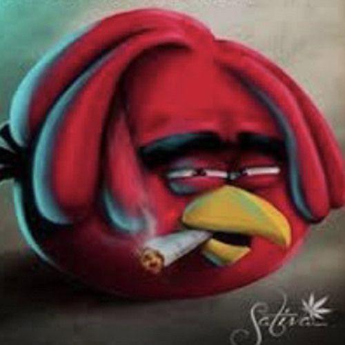 Angrystoner avatar