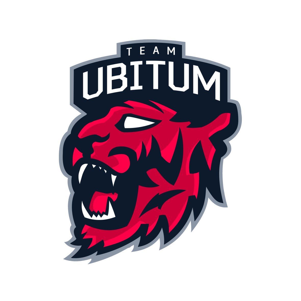Team Ubitum