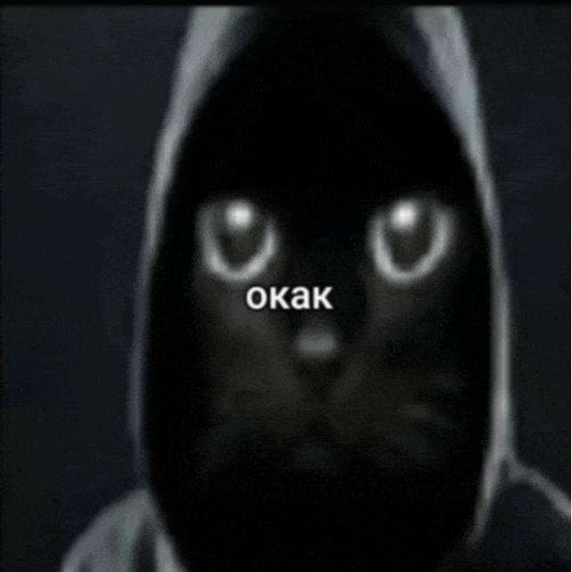 krytish22 avatar