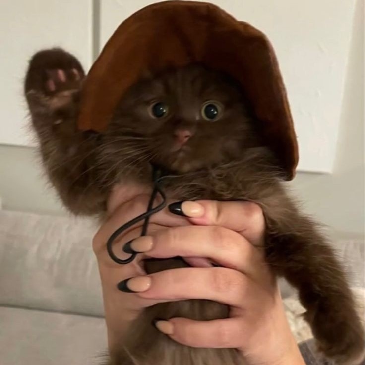 rowberi