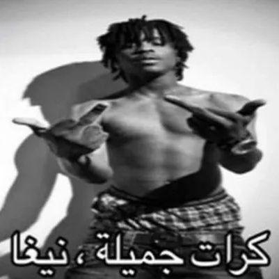 w0rpol avatar