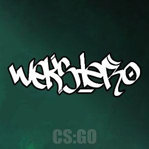 Player wekstero- avatar