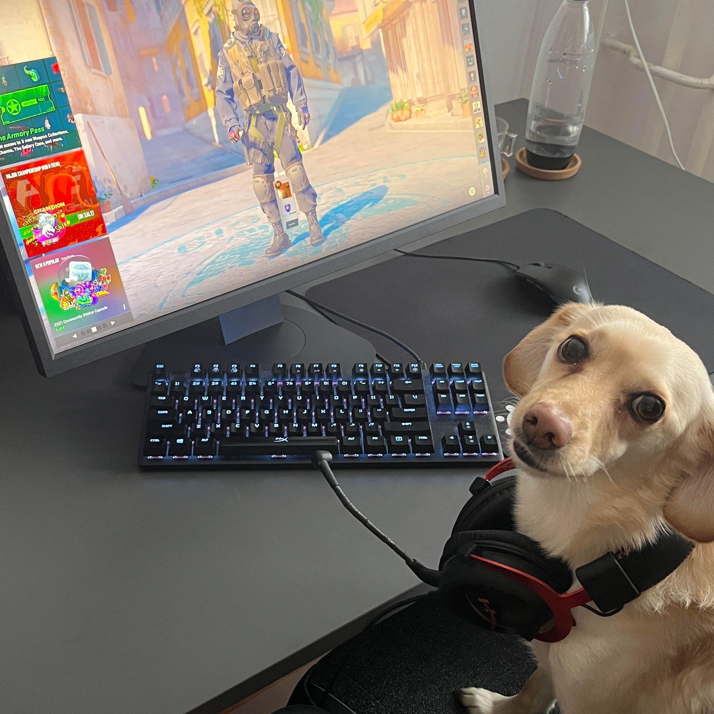 esky