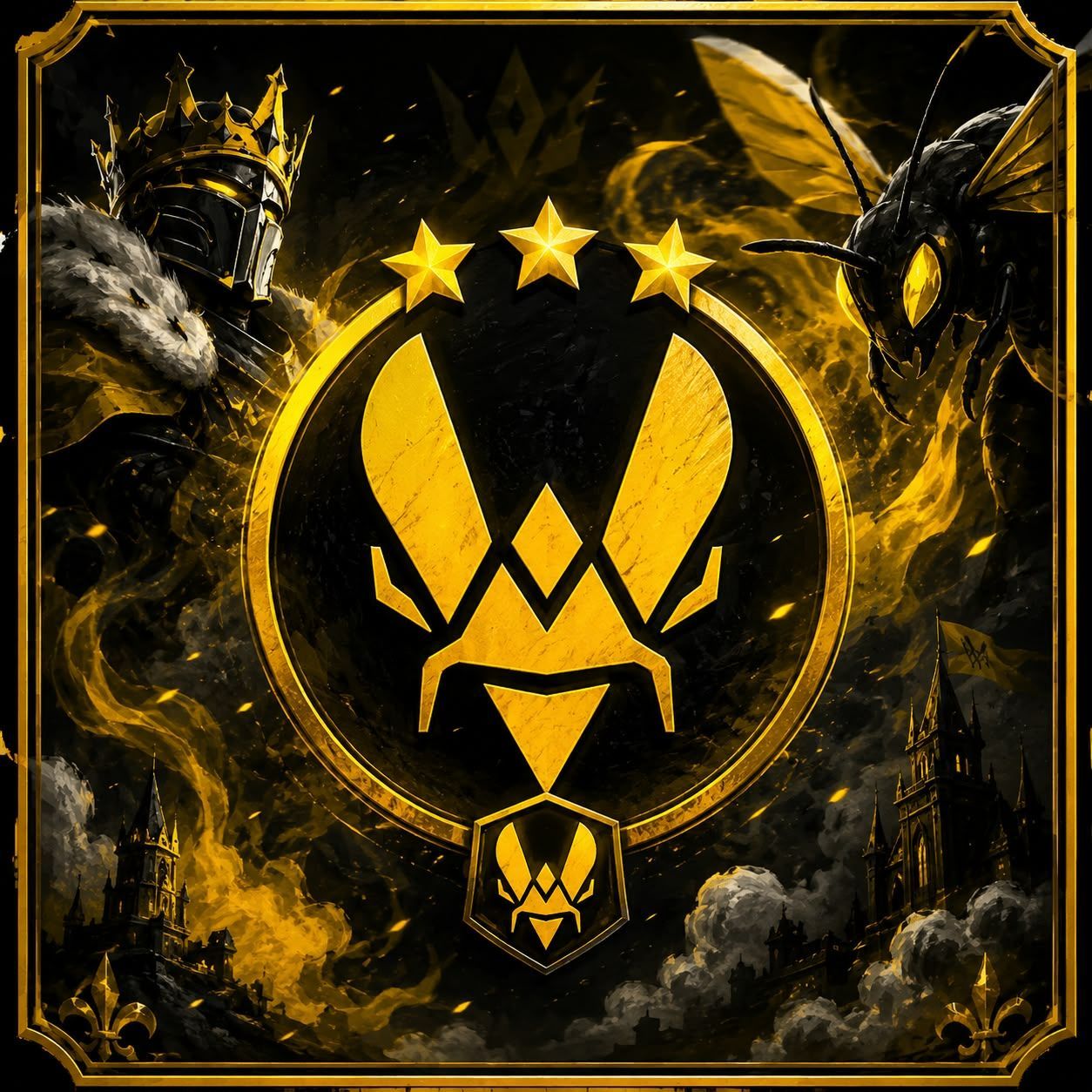 vitalityera FACEIT avatar