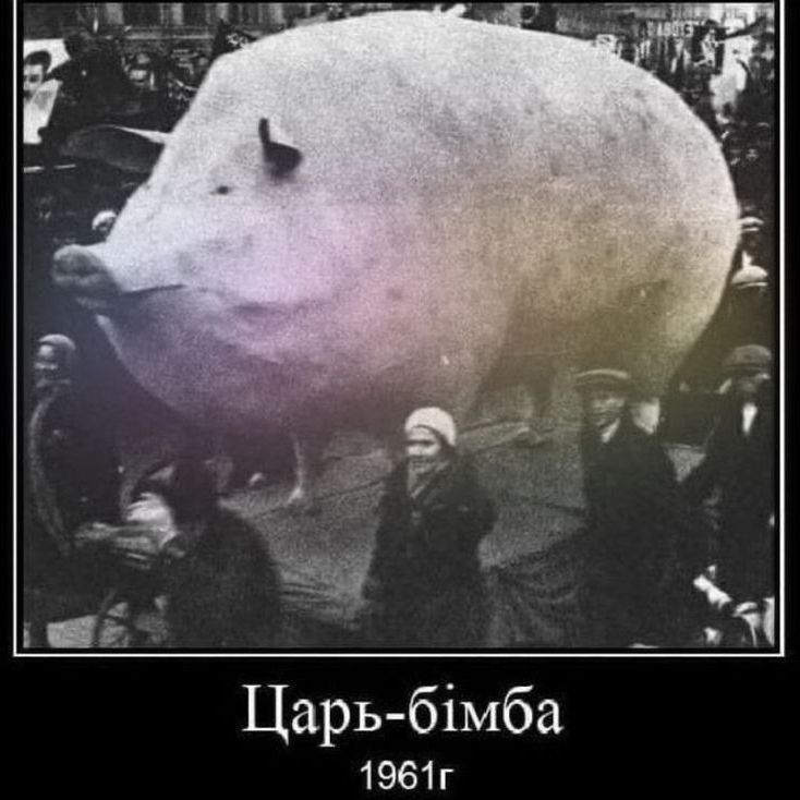 skylidd
