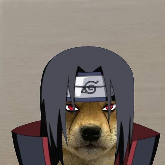 0chas0 avatar