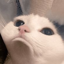 c0ffi1
