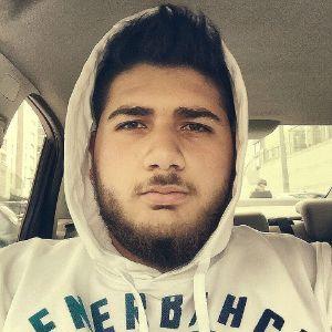 bertanm avatar
