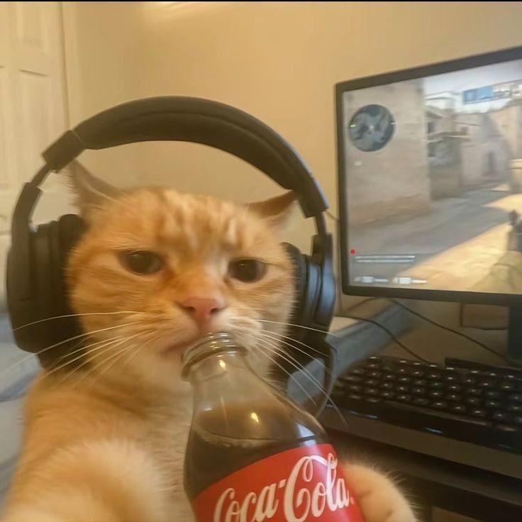 qve1ns FACEIT avatar