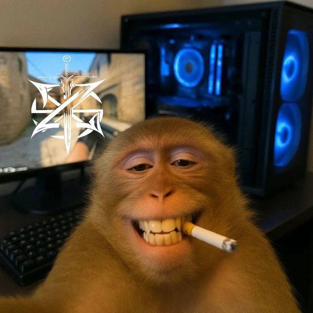 Yarj1k avatar