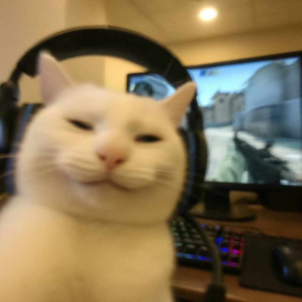 pr0kL7t FACEIT avatar