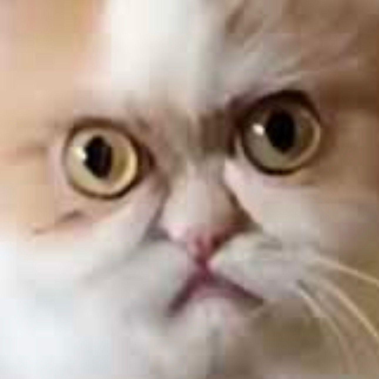 SergJust avatar