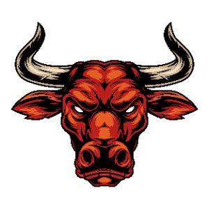 Bulls3y3e avatar