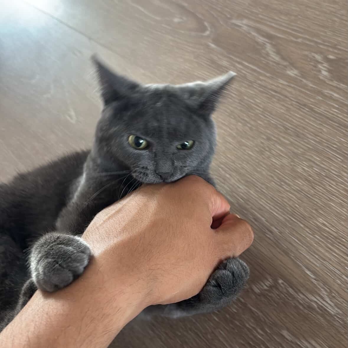 Oskarick