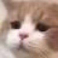 JiaJiaZiOvO avatar