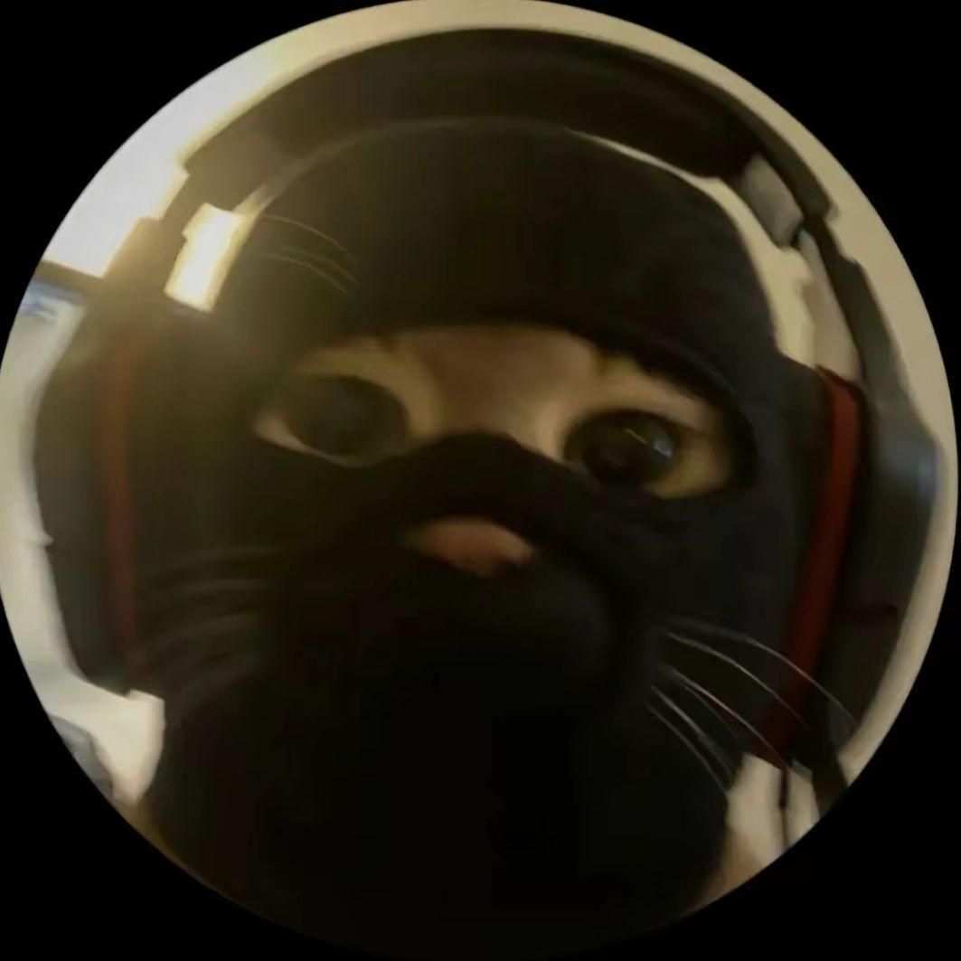Twistzz-_-_- avatar