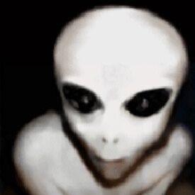 9MK avatar