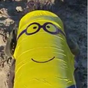 h0leesheet