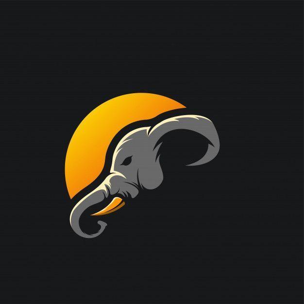 Player -en4mored avatar