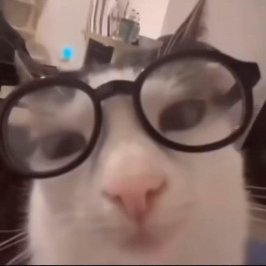 Compolpote avatar
