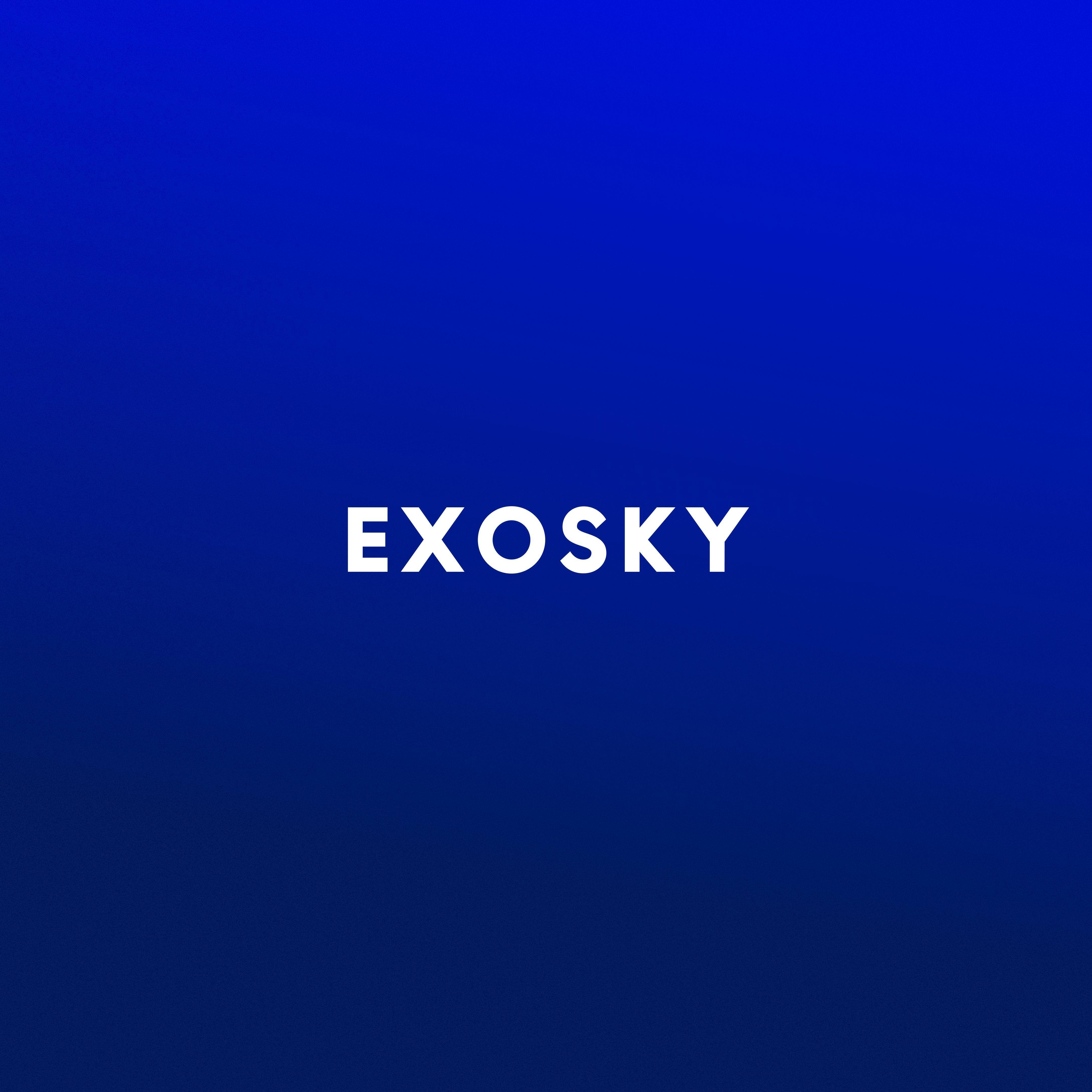 EXOSKY300IQ avatar