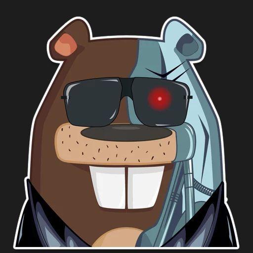 foxBOBR avatar