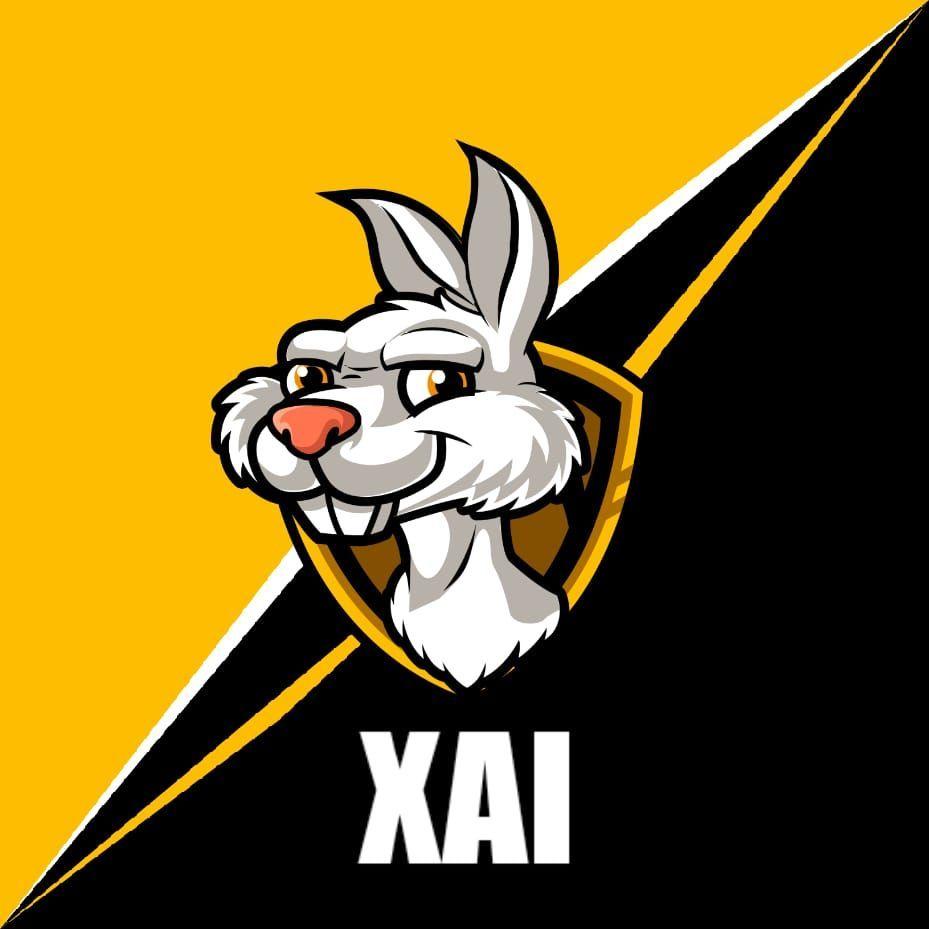 Player -X4I avatar